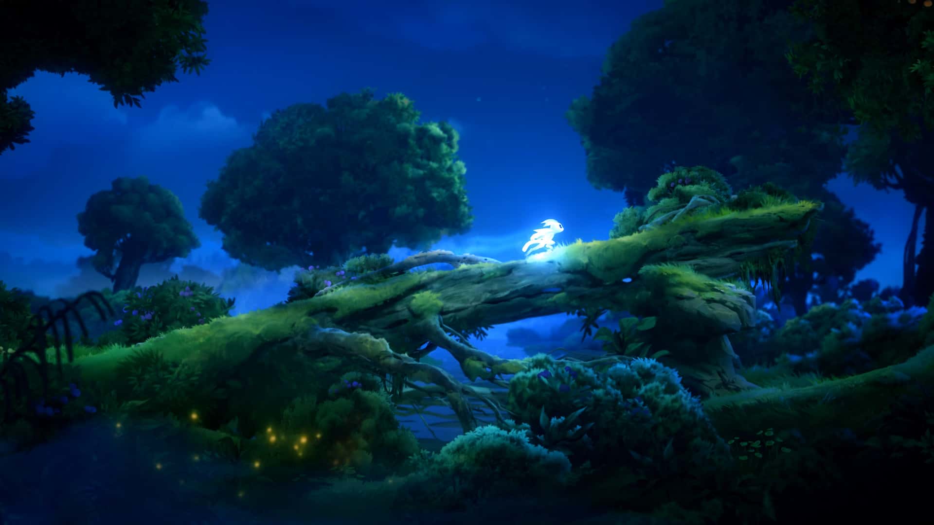 奥日与鬼火意志 精灵与萤火意志 Ori and the Will of the Wisps B.5780606 中文版背景